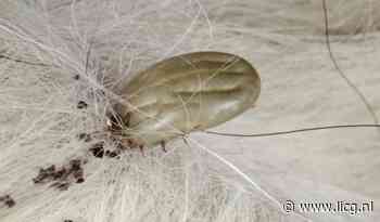 Week van de Teek 2025