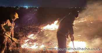 WATCH: Two large fires on nature reserves in Poole overnight