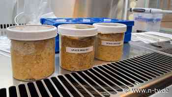 Fermentation auf der ISS: Wie schmeckt Miso aus dem All?