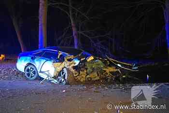 Auto botst op boom, bestuurder aangehouden en bijrijder gewond