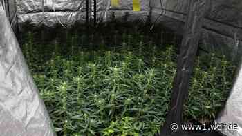 Razzia Drogenhandel-Bande: Festnahmen in Duisburg und Leverkusen