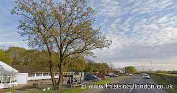 Romford man who died after two-car crash on A12 named for first time