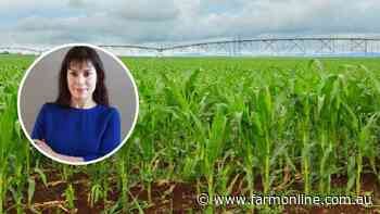 How scientists hope AI technology can take the guesswork out of crop damage