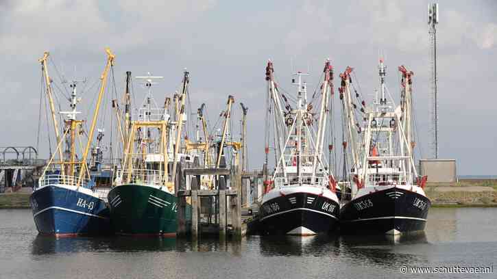 Natuurorganisaties stappen uit overleg over verduurzaming garnalenvisserij