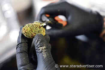 Bill to clear Hawaii island marijuana arrests is sent to governor’s office