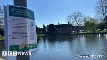 Warning as bird flu found in dead gull