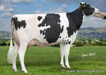 New Spring Calving Index offers last-minute upgrade opportunity