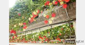 "Problemen met Karima kunnen nog wel gevolgen hebben"