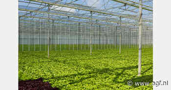 Luxemburg wil ruimte maken voor grotere kassen