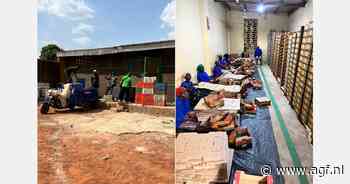 "We verwachten een veel stabieler Afrikaans mangoseizoen dan 2024"