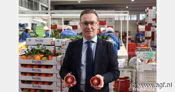 Siciliaanse Tarocco Meli bloedsinaasappel tot begin mei beschikbaar