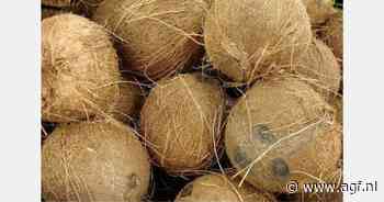 Ivoorkust gaat kokossector reguleren