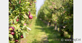 Nieuw-Zeelandse appelexport Envy op weg naar record