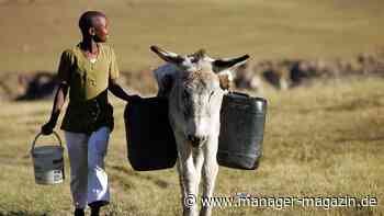 USA: Diese Länder sind von Zöllen betroffen – ein Überblick über die Höhe und die Auswahl