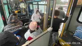 Saskatoon bus drivers want city to outfit buses with naloxone kits