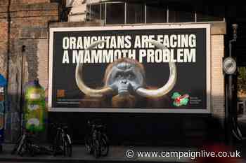 Borneo Orangutan Survival ad compares primate to mammoth