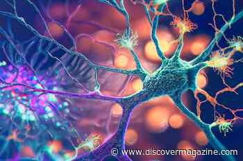 Why the Brain Keeps Track of Those Painful Food Poisoning Memories