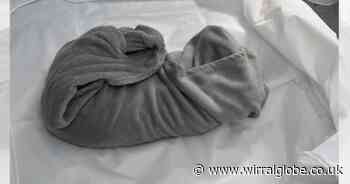 Ellesmere Port man abused dog left to die on bathroom floor