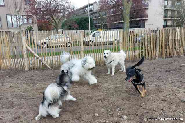 Nieuwe hondenlosloopzone langs Cortewalledreef geopend