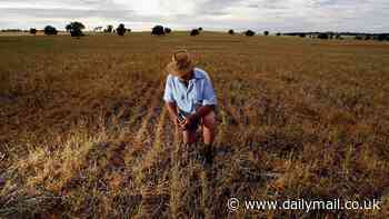 The real cost of climate change: Global warming could make the average person 40% poorer by 2100, scientists warn