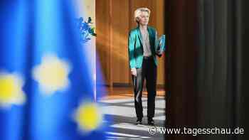 Wie reagiert die EU auf Trumps Zölle?