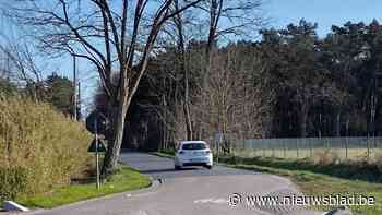 Gemeente bekijkt mogelijkheden om Vorselmoerweg veiliger te maken voor fietsers