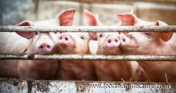 Cranswick ‘megafarm’ plans blocked by council