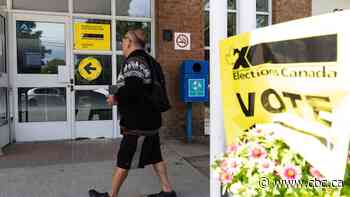 Election 2025: Everything you need to know to register to vote and cast your ballot