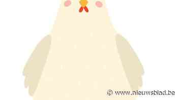 Jeugddienst laat Pico de Paaskip los in Massenhoven