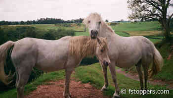 Embrace the Everyday: Why Your Life is Worth Photographing