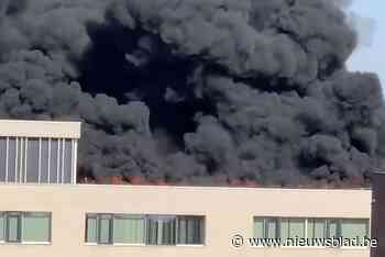 Honderdtal zonnepanelen op Don Bosco gaat in vlammen op ondanks bluspoging van schoolpersoneel: “Er viel niets meer tegen te beginnen”