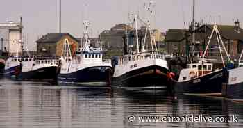 Northumberland 'hidden gem' 15 minutes from A1 with beautiful harbour makes top staycation list