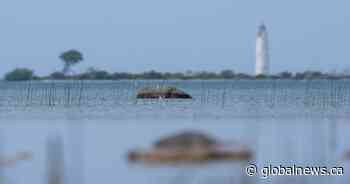 Spring storm causes waste spill in Ontario lake, Quebec under freezing rain warning