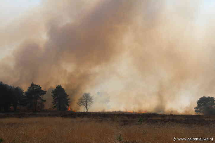Grote natuurbrand: inzet blushelikopter en meerdere pelotons brandweer