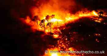 WATCH: Incredible drone footage shows scale of the Upton Heath fire