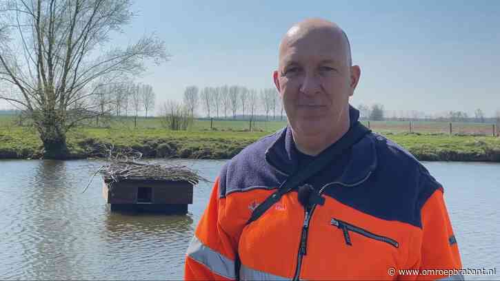 Experiment met drijvend beverhotel: 'We proberen te denken als bevers'