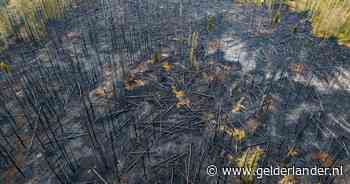 Al heel lang gortdroog: ook hier waren al natuurbranden en dit gaat vermoedelijk vaker gebeuren