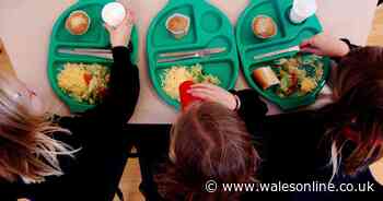 Welsh Government warned it's 'missed a trick' with planned changes to school dinners