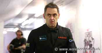Ronnie O'Sullivan's coach Lee Walker opens up on sessions with him ahead of World Championship