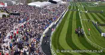 Horse killed in Grand National horror fall as jockey taken away in ambulance