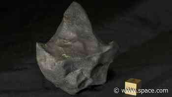 How a 'mudball' meteorite survived space to land in the jungles of Central America