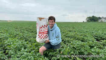 Aardappelen telen voor frites van Five Guys