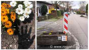 „Erbärmlich und respektlos“ – Treibt in Bad Aibling ein Pflanzen-Dieb sein Unwesen?