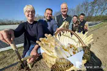 Der Spargel wächst: Hohe Preise zu Saisonbeginn