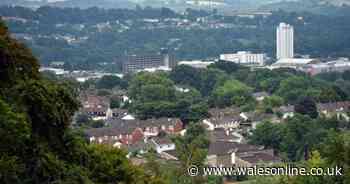 'I was having a laugh when I posted my town had record for most roundabouts - then it all got out of control'