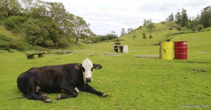 Tariffs hit tiny coral islands in the South Pacific and Arctic outposts