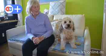 Kaltenkirchen: AfD scheitert mit Antrag auf Abschaffung der Hundesteuer