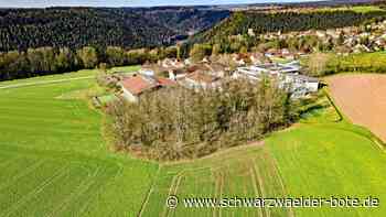 Freizeit in Bad Teinach-Zavelstein: Idealen Standort für Bikepark gefunden