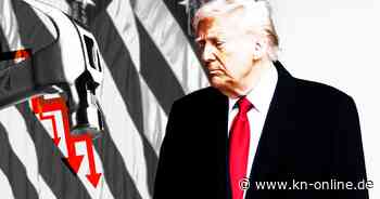 Trump gegen die Welt: Wird der Zollkrieg die globale Wirtschaft erschüttern?