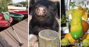 Low Budget Urlaub Kiel: Tipps für günstigen Urlaub in Schleswig-Holstein